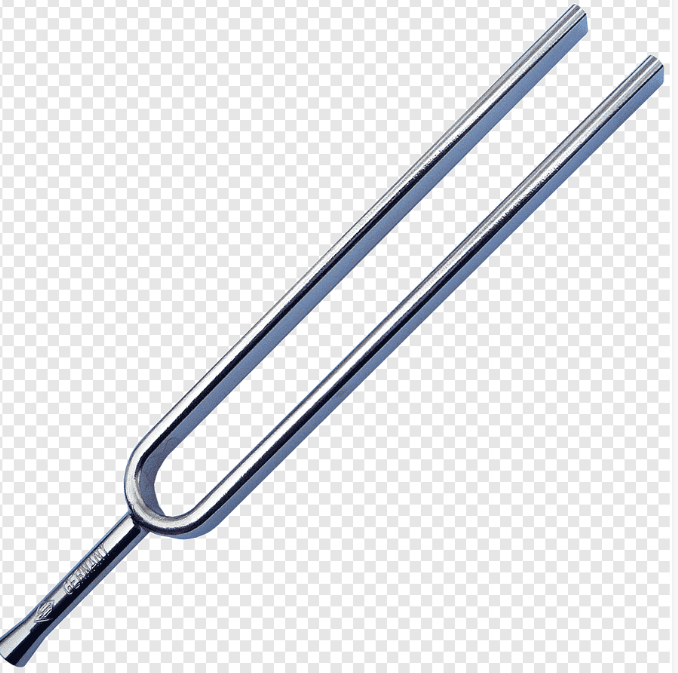 Professional Medical Tuning Fork