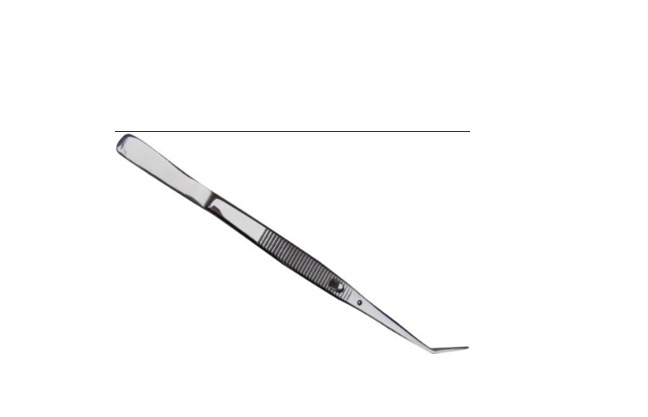 Locking Dental Tweezers (Cotton Pliers)