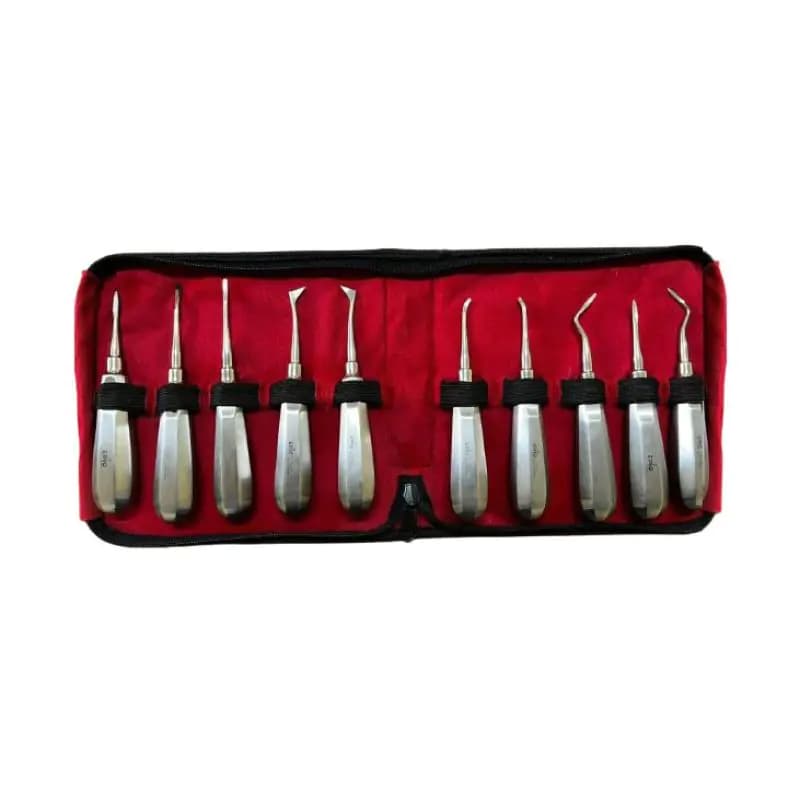 Dental Elevators Set (Straight & Curved)