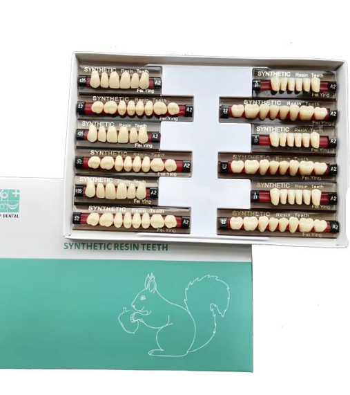 Replacement Plastic Teeth Set (Typodont Refill - 28 Pcs)